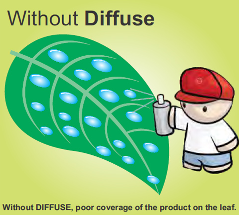 without Diffuse